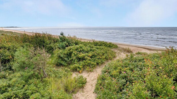 Un paisaje costero con una playa arenosa y vegetación exuberante.