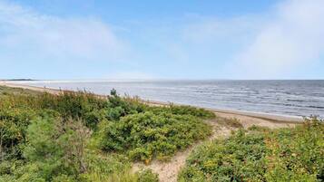 A coastal landscape with a sandy beach and dense greenery.