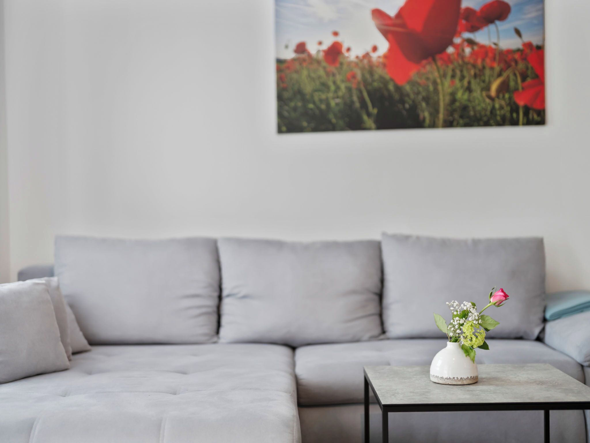 Fernseher