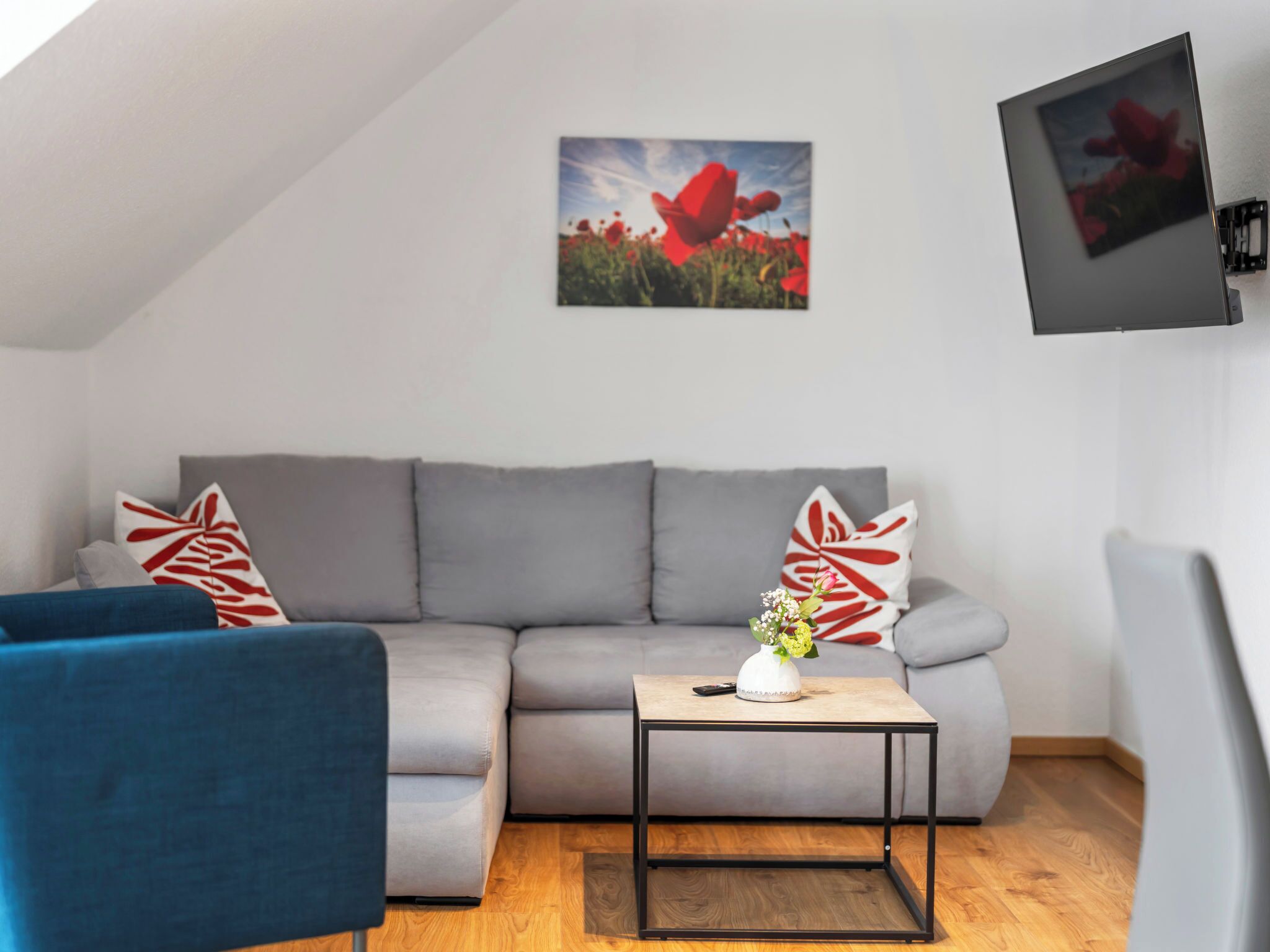 Fernseher