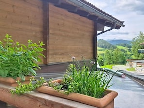 Eine Holzterrasse mit Kübelpflanzen und Blick auf eine Berglandschaft.