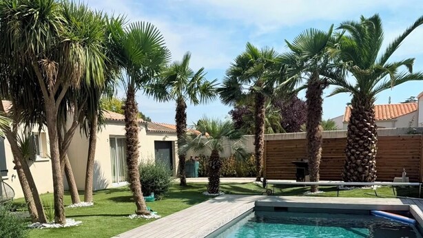 A swimming pool with a wooden deck, surrounded by palm trees and a house.