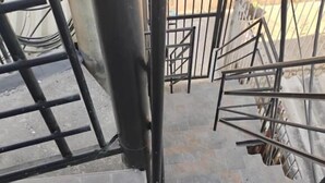 A metal gate with a metal staircase leading up to a door.