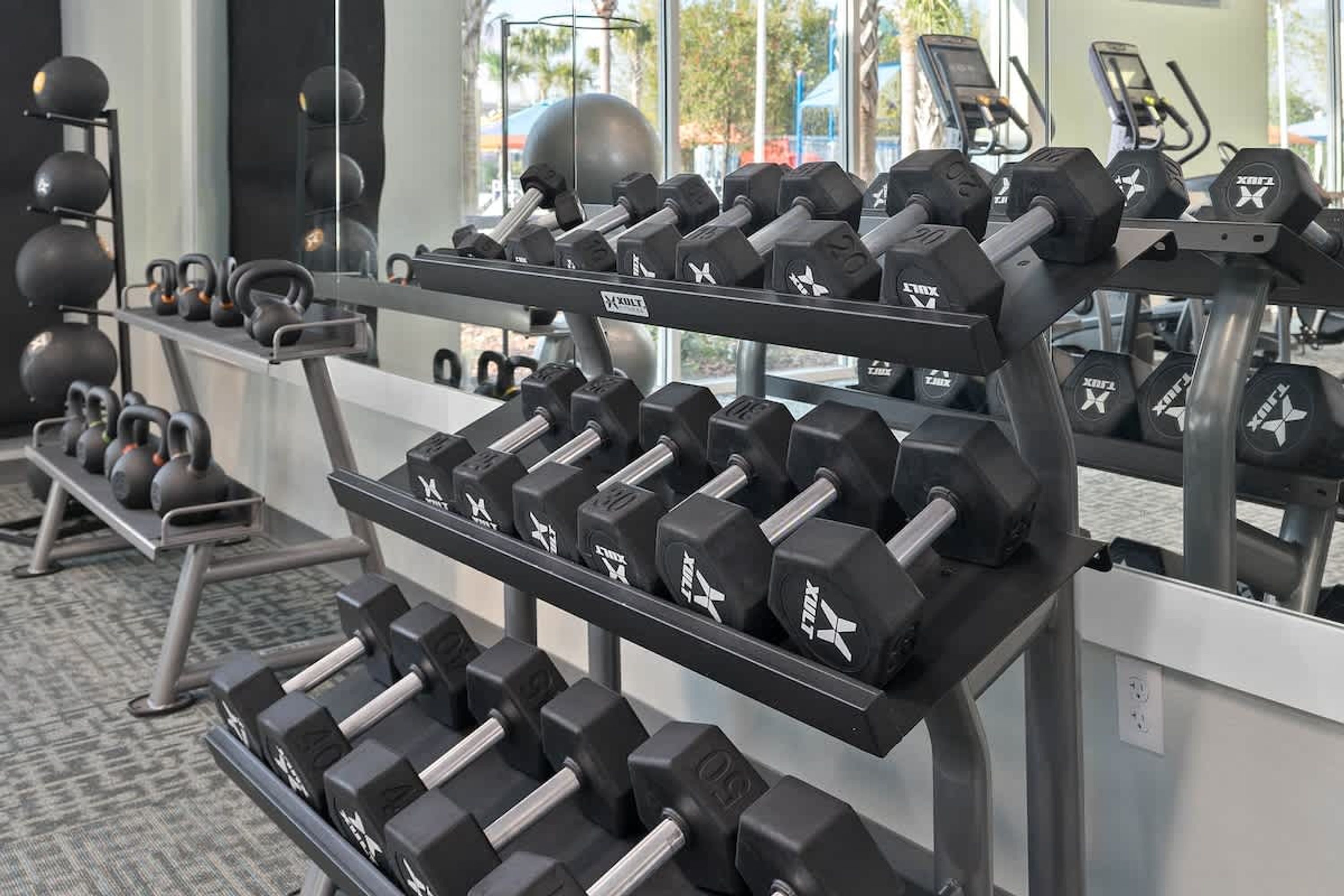Ein Fitnessraum mit Krafttrainingsgeräten, darunter Kurzhanteln und Kettlebells, die in Regalen angeordnet sind.
