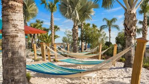 Zona de playa con hamacas, palmeras y arena.
