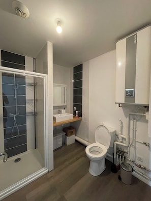 A modern bathroom with a shower, toilet, sink, and a mirror. - Apartment on Hugues Street (Bayonne)