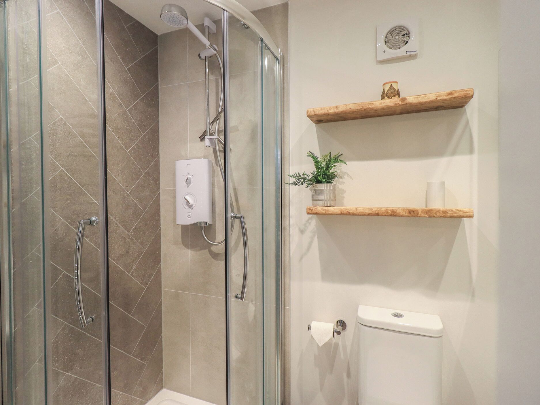 A shower with glass doors, a white toilet, and wooden shelves with a plant and a cup.