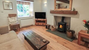 Un salon chaleureux avec une cheminée, des meubles en bois, un téléviseur et une fenêtre donnant sur un paysage verdoyant.