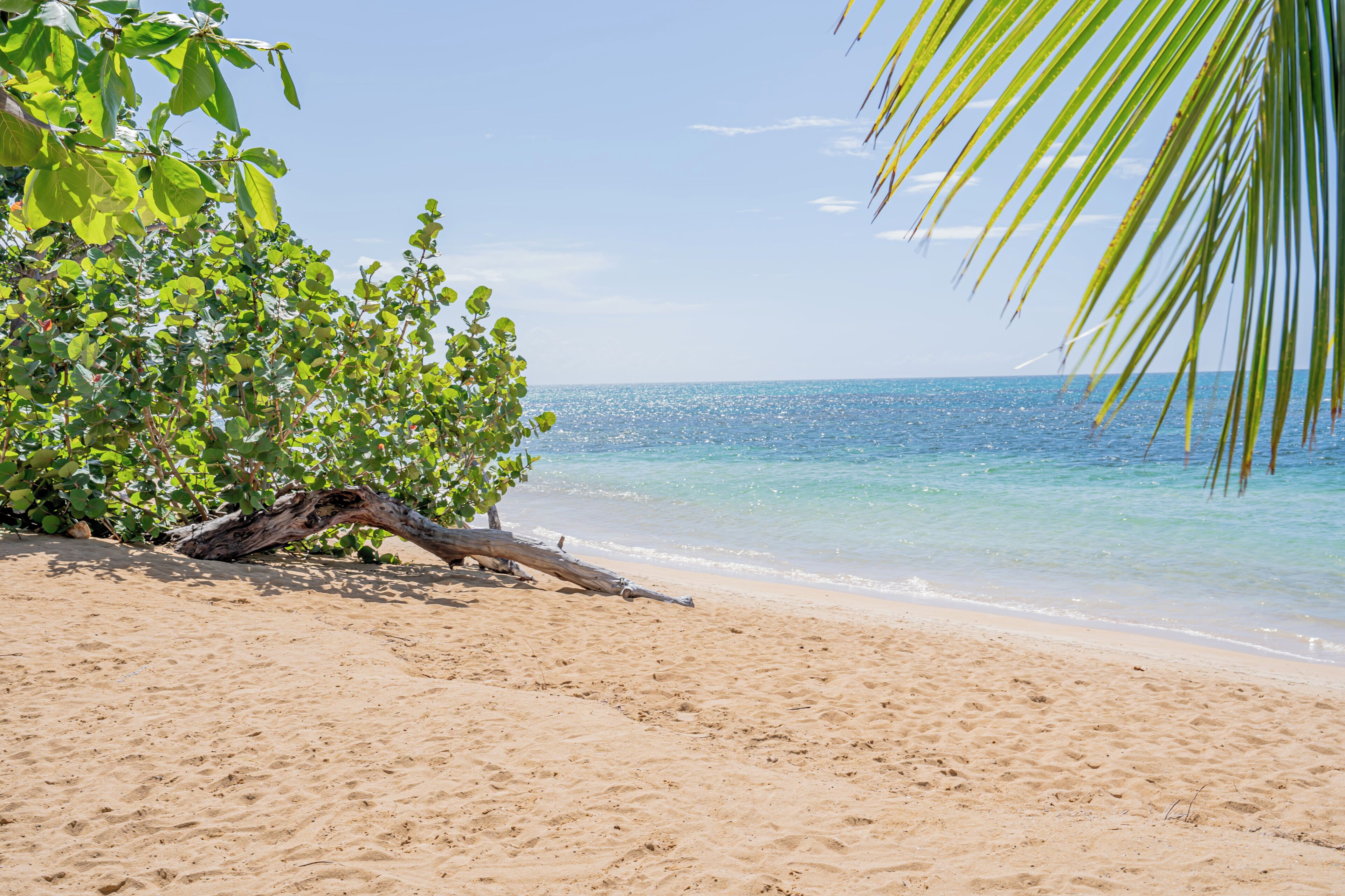 Beach nearby, sun loungers, beach towels