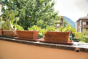 Potplanten op een balkon, met een berg op de achtergrond.