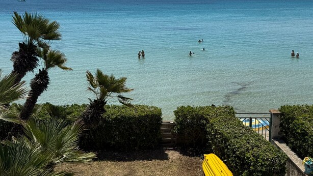 A clear view of a beach with people swimming, palm trees, and a yellow surfboard on the shore. - A house overlooking Fontane Bianche Beach with direct access to the sea (Fontane Bianche)