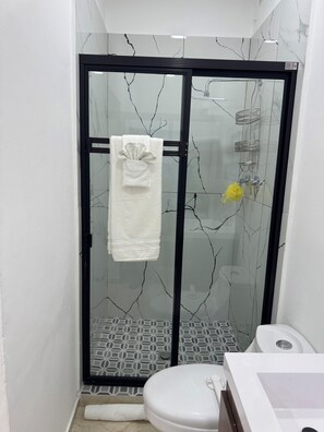 Hair dryer, towels, soap, toilet paper