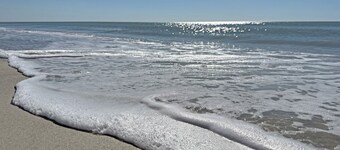 Renovated 4BD family beach retreat steps from the sandy beach of Bonita Springs