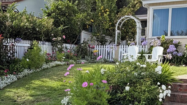 A well-maintained garden with a white picket fence, various flowering plants, and a white chair. - Charming 3-bedroom house in amazing Hollywood Riviera section of Redondo Beach (Redondo Beach)