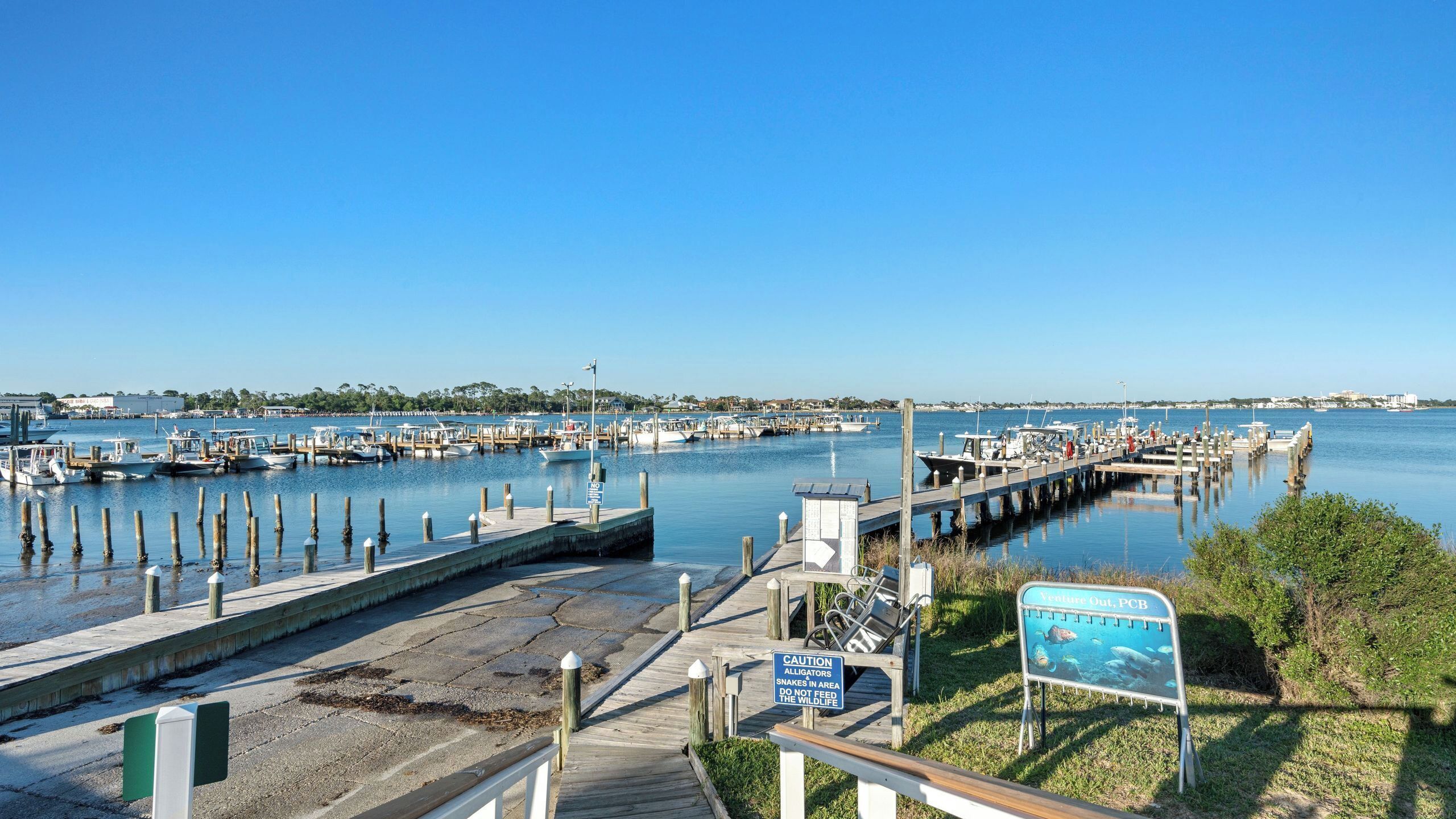 A marina with boats docked, a wooden pier, and a sign warning about alligators.