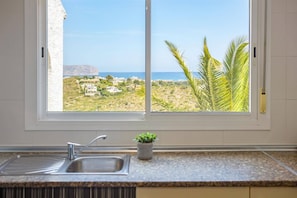 Eine Küche mit Spüle, einem Blumentopf und einem Fenster mit Blick auf eine Küstenlandschaft.