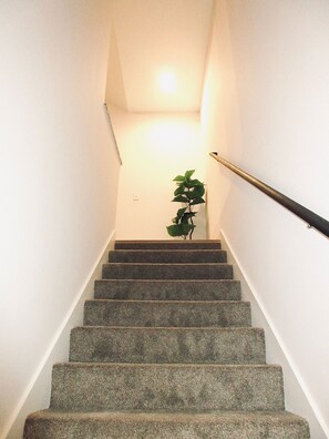 Eine Treppe mit Geländer, einer Lampe oben und einer Pflanze an der Wand.