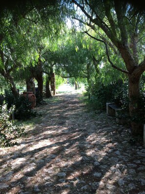 Property grounds - A wonderfully relaxing getaway in the Sicilian countryside, just a short distance from the sea (Sicilia)
