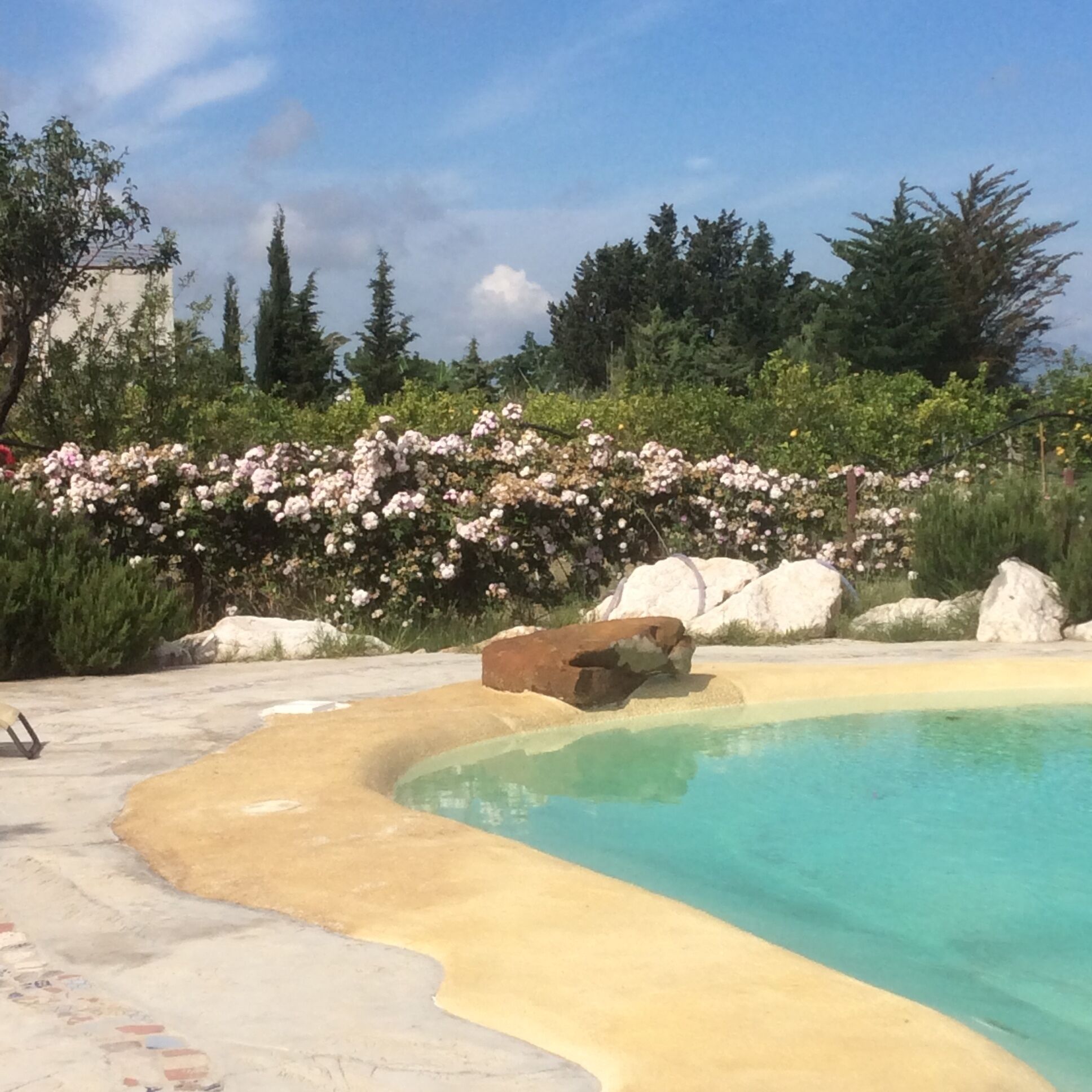 Une piscine à l’eau claire, entourée de rochers et d’arbustes en fleurs.