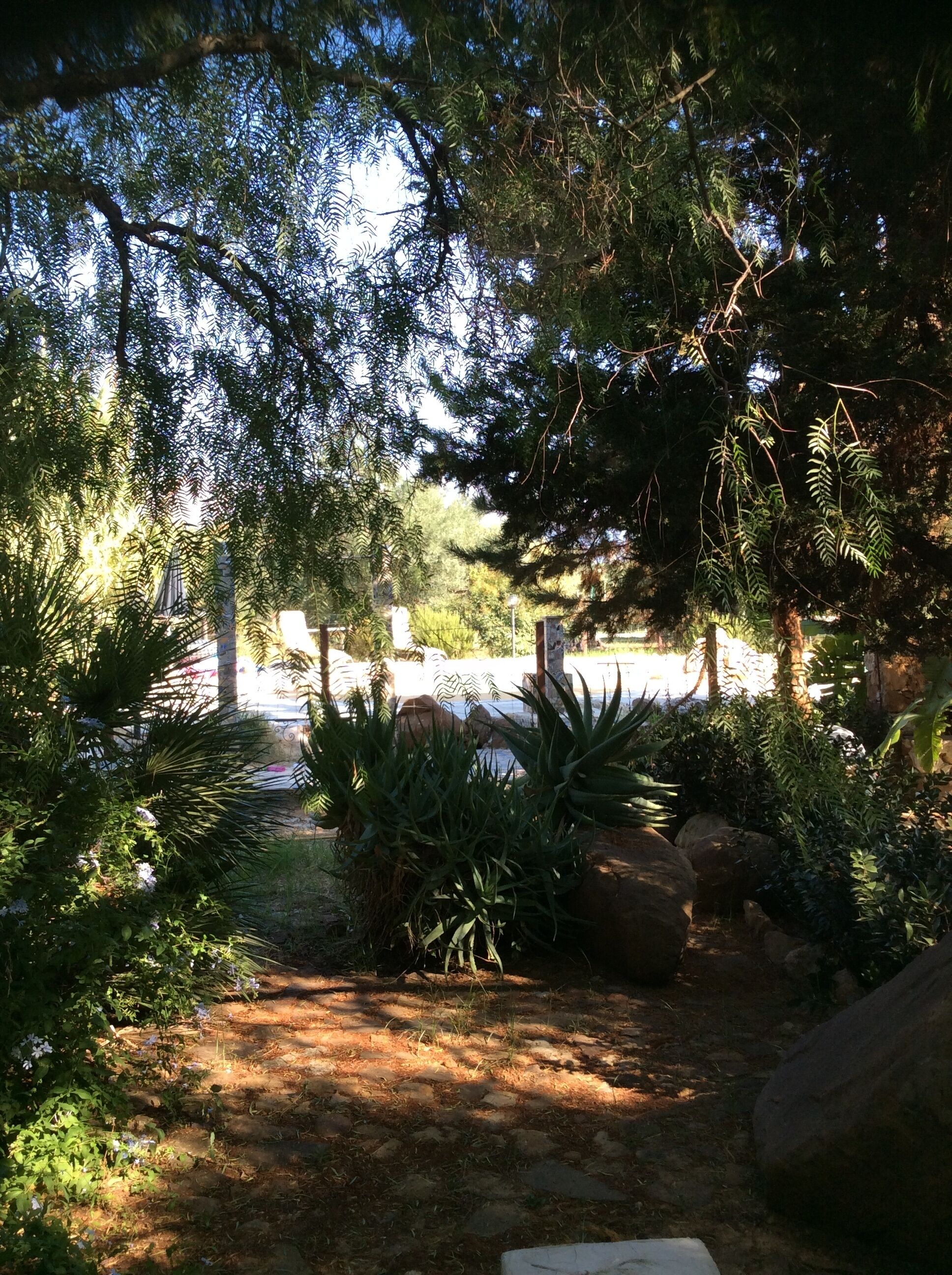 Parco della struttura