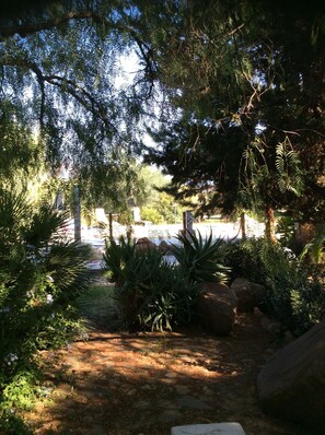 A garden with various plants and a pathway leading to a building.
