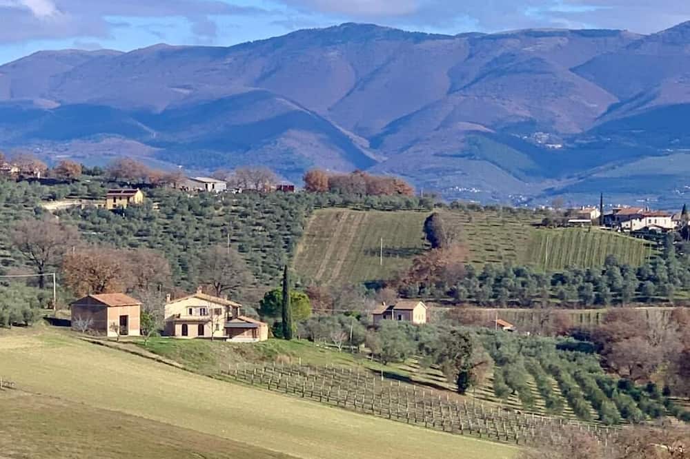 Residenza Marrone
