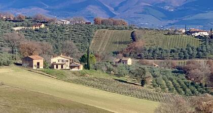 Residenza Marrone