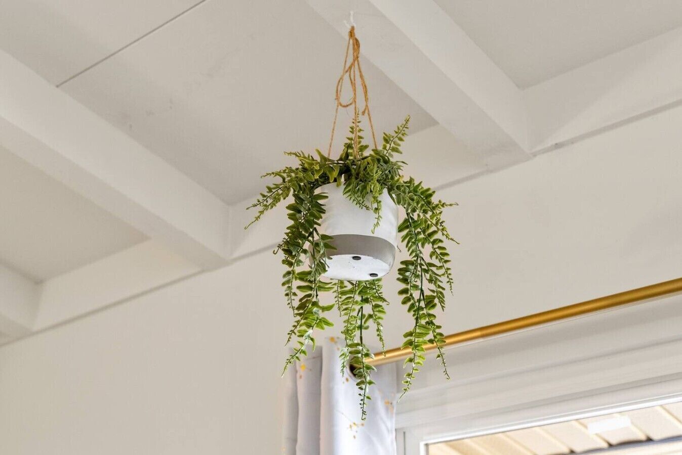 Una planta colgante con maceta blanca y varilla dorada.