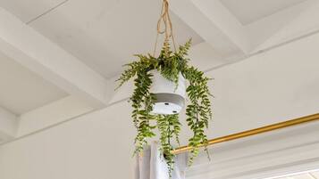 Una planta colgante con maceta blanca y varilla dorada.