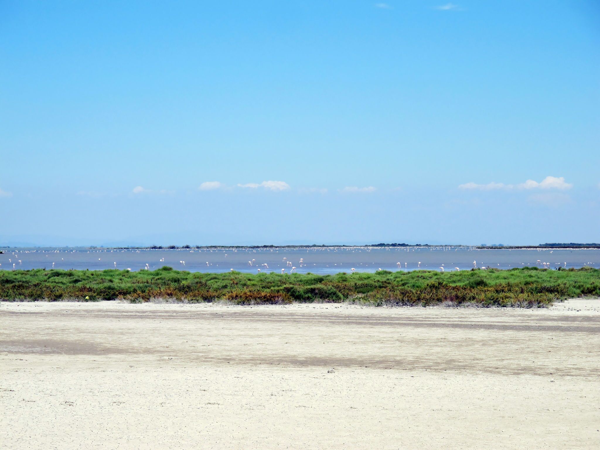 A coastal landscape with a sandy beach, green vegetation, and a calm sea with birds.