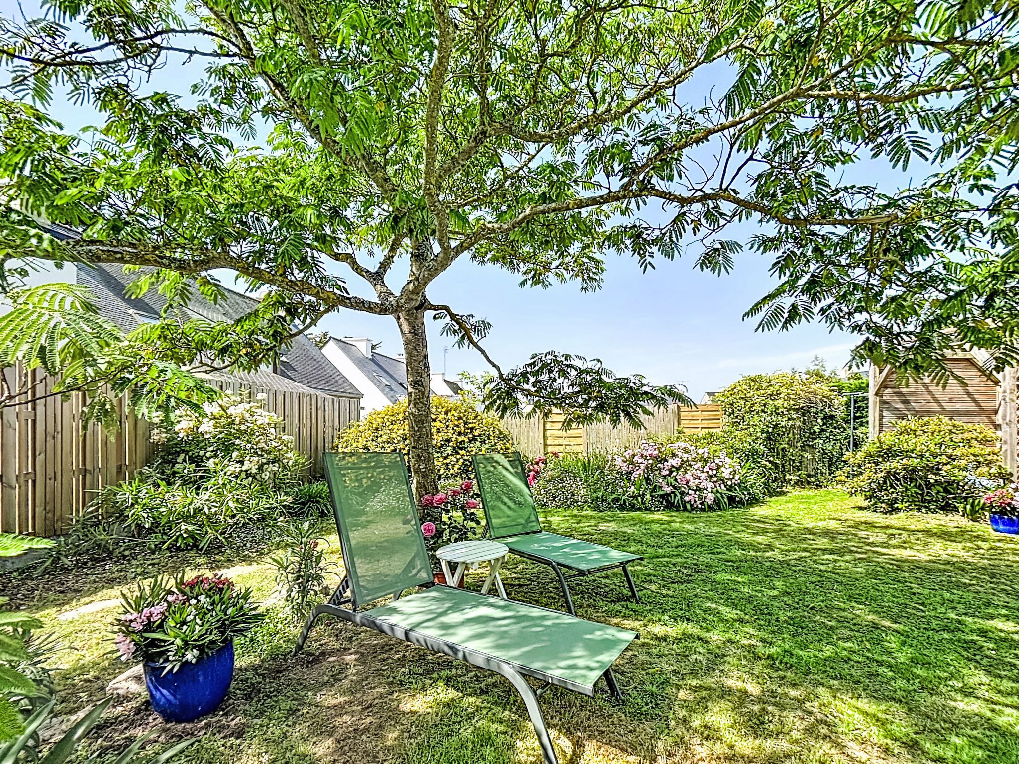 Un jardin avec un arbre, une pelouse et une clôture en bois.