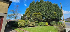 A residential area with a large tree, a lawn, and a house with a red door. - Cozy Waterford 2-bed Cottage, Sleeps 4 With Views (Waterford)