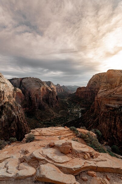 Purple Sage Place