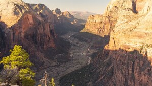 Un paisaje de cañón con acantilados rocosos y vegetación escasa.