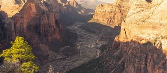 Purple Sage Place