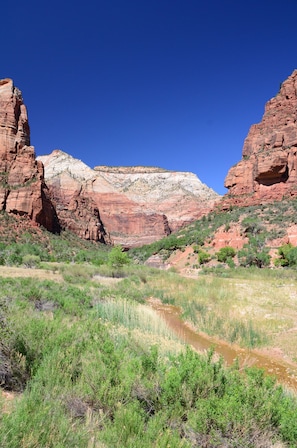 Suite #2 | Miscellaneous - Purple Sage Place (Springdale)