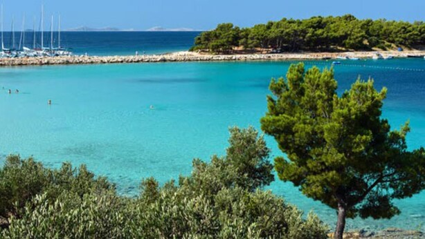 Blick auf die Küste mit klarem türkisblauem Wasser, eine Marina mit Segelbooten und üppigen, grünen Bäumen.