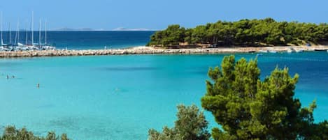 Une vue sur la côte, avec une eau turquoise cristalline, un port de plaisance où sont amarrés des voiliers, et une végétation luxuriante.