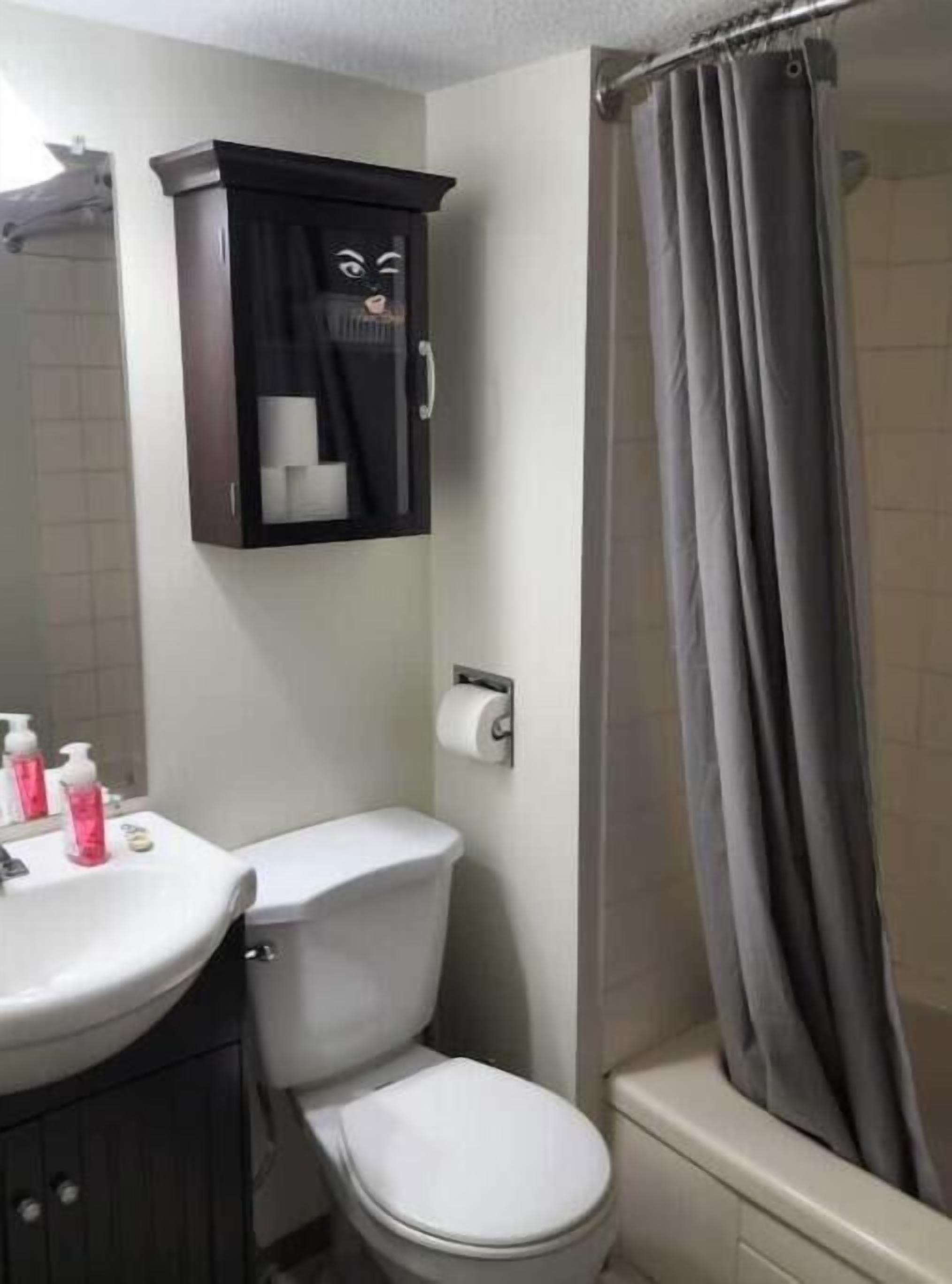 Hair dryer, towels, toilet paper