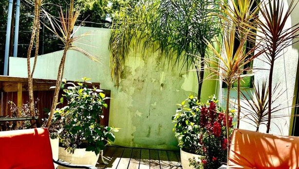 A patio with two red chairs, a small dog, and potted plants. - Forsyth Silk-n-art (elegance-comfort-free parking) (Savannah)