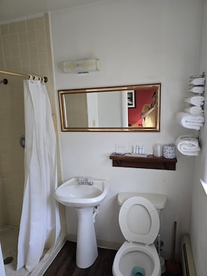 Chambre Deluxe double | Salle de bain | Douche, serviettes fournies, papier de toilette