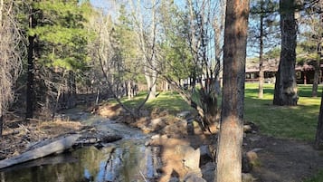 A natural outdoor setting with a stream, trees, and a building in the background.