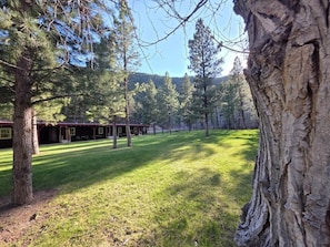 Un chalet doté d’un espace extérieur couvert avec des sièges, entouré d’arbres et d’une pelouse.