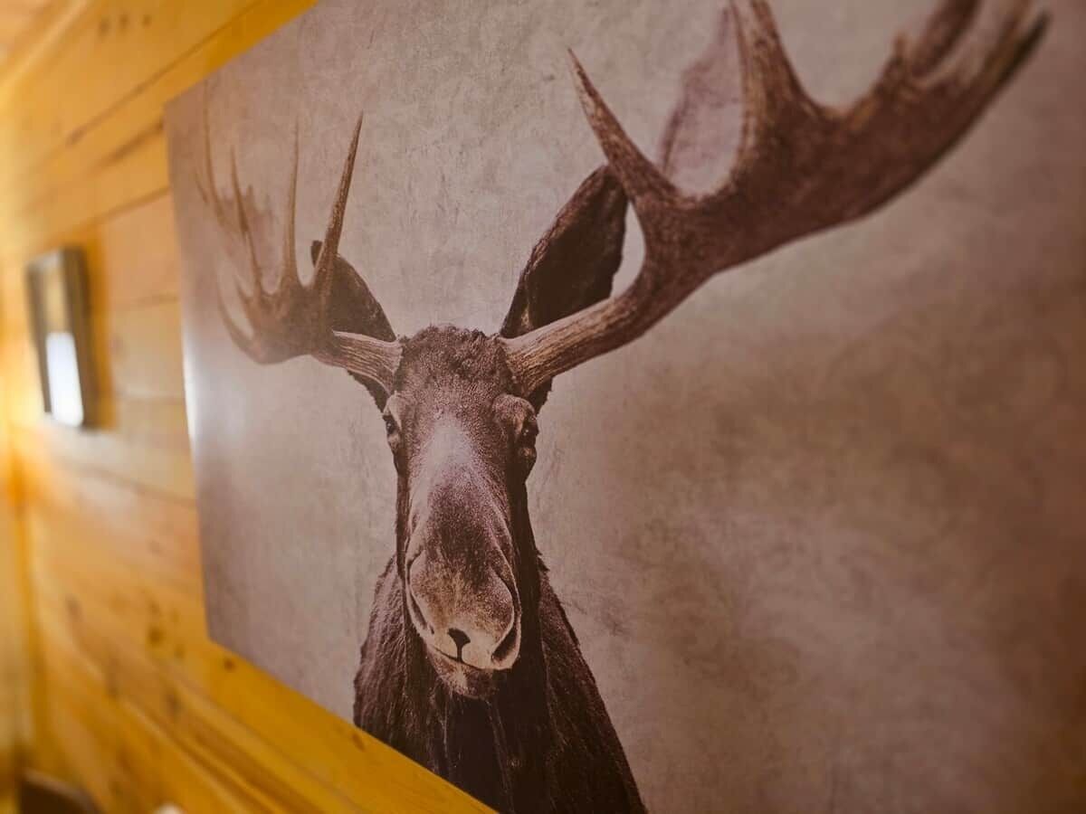 A wall-mounted deer head mounted on a wooden wall.