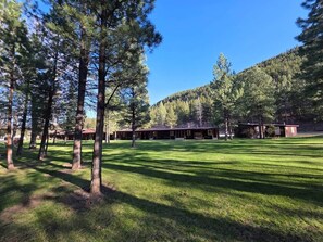 Un edifici amb diverses habitacions, envoltat d'una zona verda i arbres.