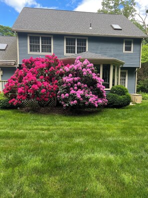 Ein zweigeschossiges Haus mit gepflegtem Rasen und leuchtend rosa blühenden Sträuchern.