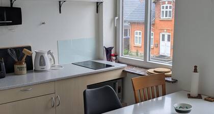 Spacious Midttown Apartment