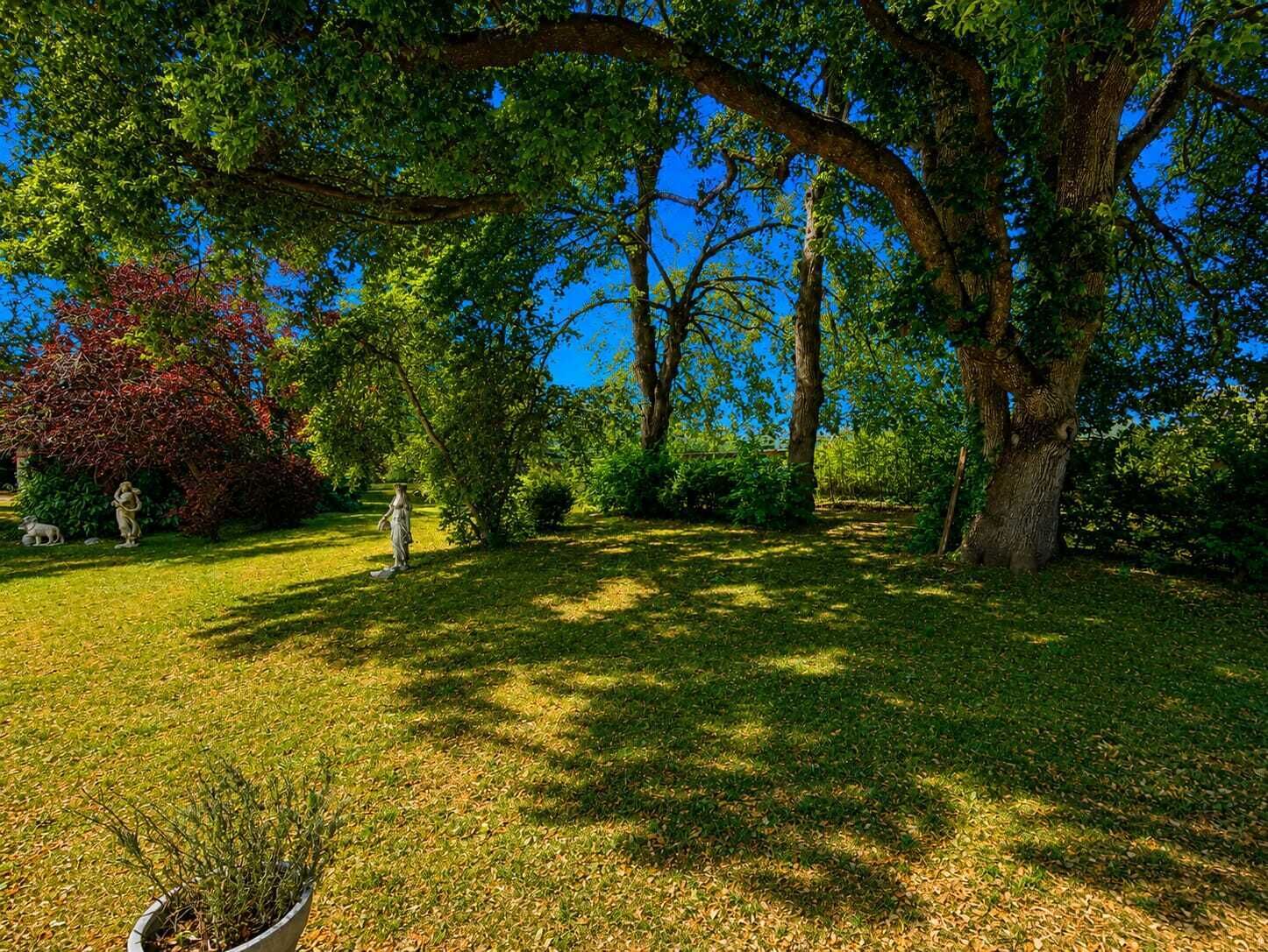Un jardin bien entretenu, agrémenté d’arbres adultes, d’une pelouse verdoyante et d’une statue.