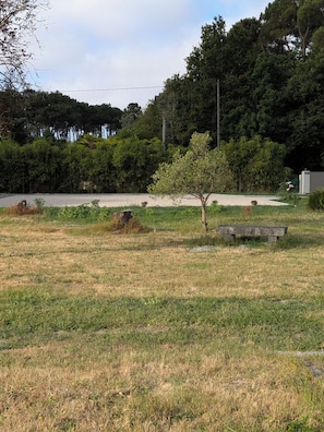 Un campo cubierto de césped con un banco, árboles y una carretera al fondo.
