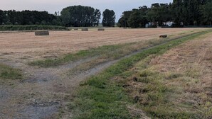 Paisaje rural con un campo, fardos de heno, un sendero y árboles al fondo.